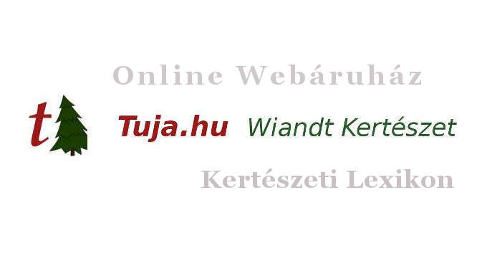 Wiandt Kertészet Kertészeti lexikon cikk Vetés