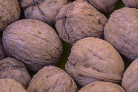 gömbjuhar, acer platanoides globosum