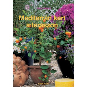 Mediterrán kert a teraszon