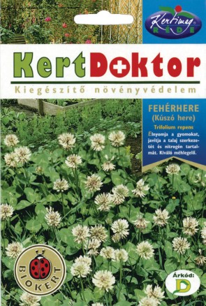 Fehérhere virág vetőmag, Trifolium repens - Virágmag