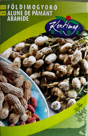 Földimogyoró vetőmag Arachis hypogaea Viviana