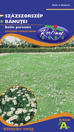 Százszorszép - Virág vetőmag, Virágmag