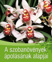 A szobanövények ápolásának alapjai - Kertészkedés, Könyv