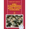 Gyógy- és fűszernövények gyűjtése, termesztése és felhasználása