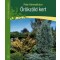 Könyv Örökzöld kert - Növények - Kertészkedés