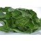 Zöldség vetőmag Római saláta fej