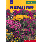 Sziklakertek - Szerző: Dirk Mann - Hobbi, szabadidő - Kertészkedés - Virágok