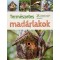 Természetes madárlakok - 25 madárlak készítése